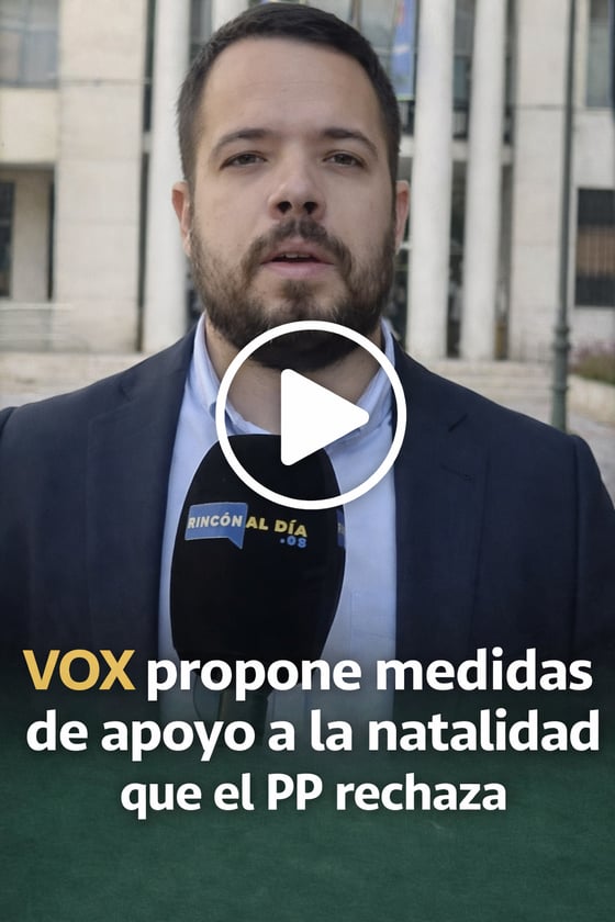 VOXRincon_BoletinEneroFebrero_005 copia